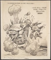 A queer old bird is the pellican-